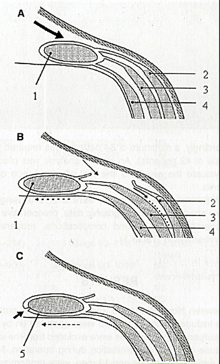 Image008